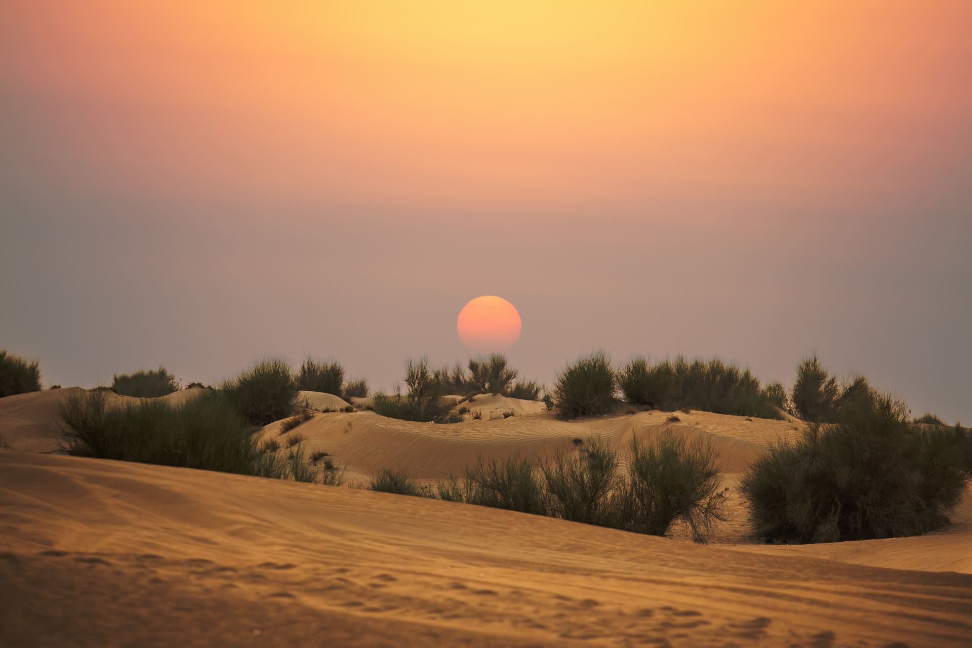 The sun setting low and orange behind a ridge of desert scrub on a Dubai sand dune, footprints marking the foreground sand