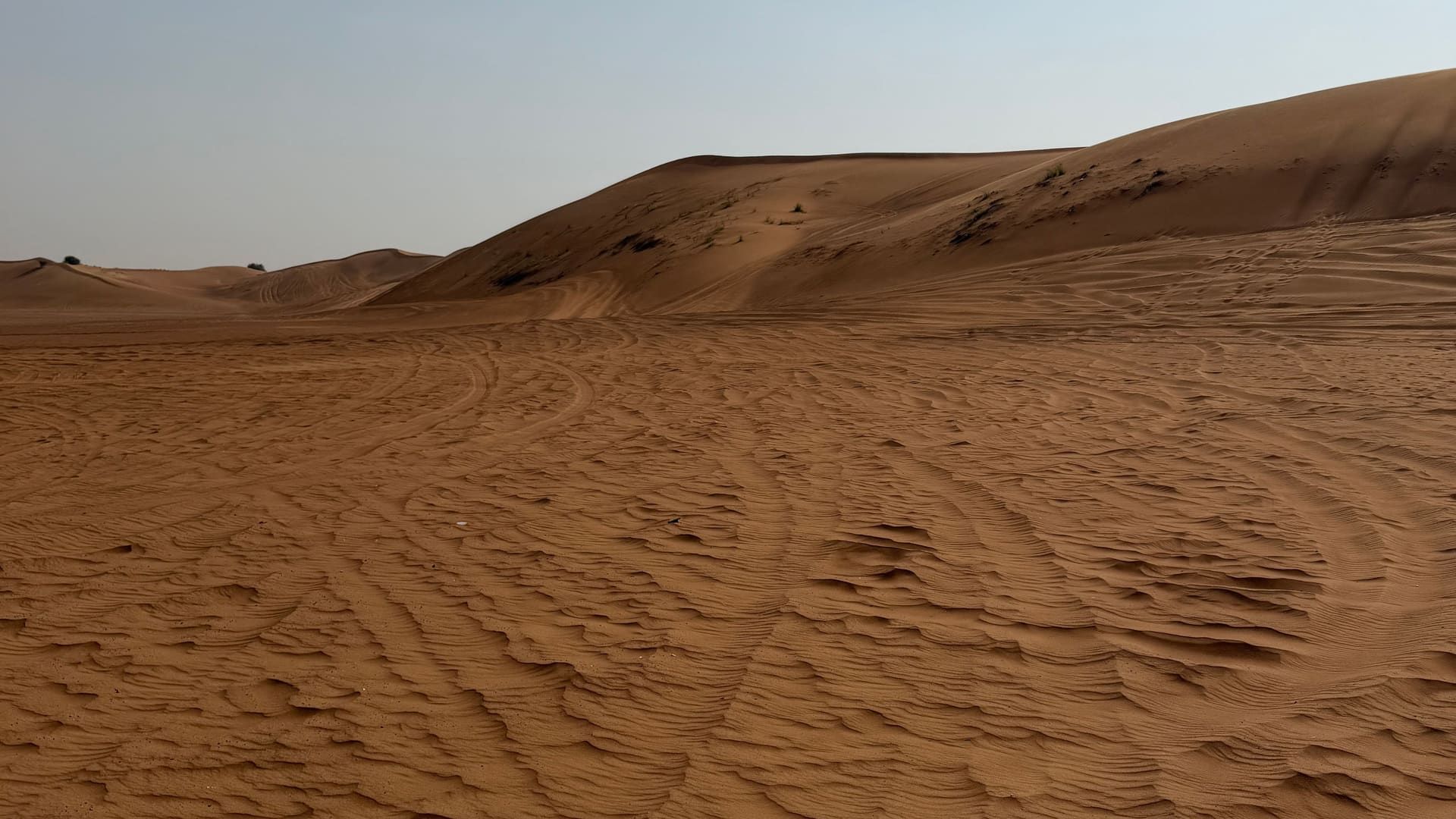 Wind-rippled desert floor in front of a long dune under a pale sky