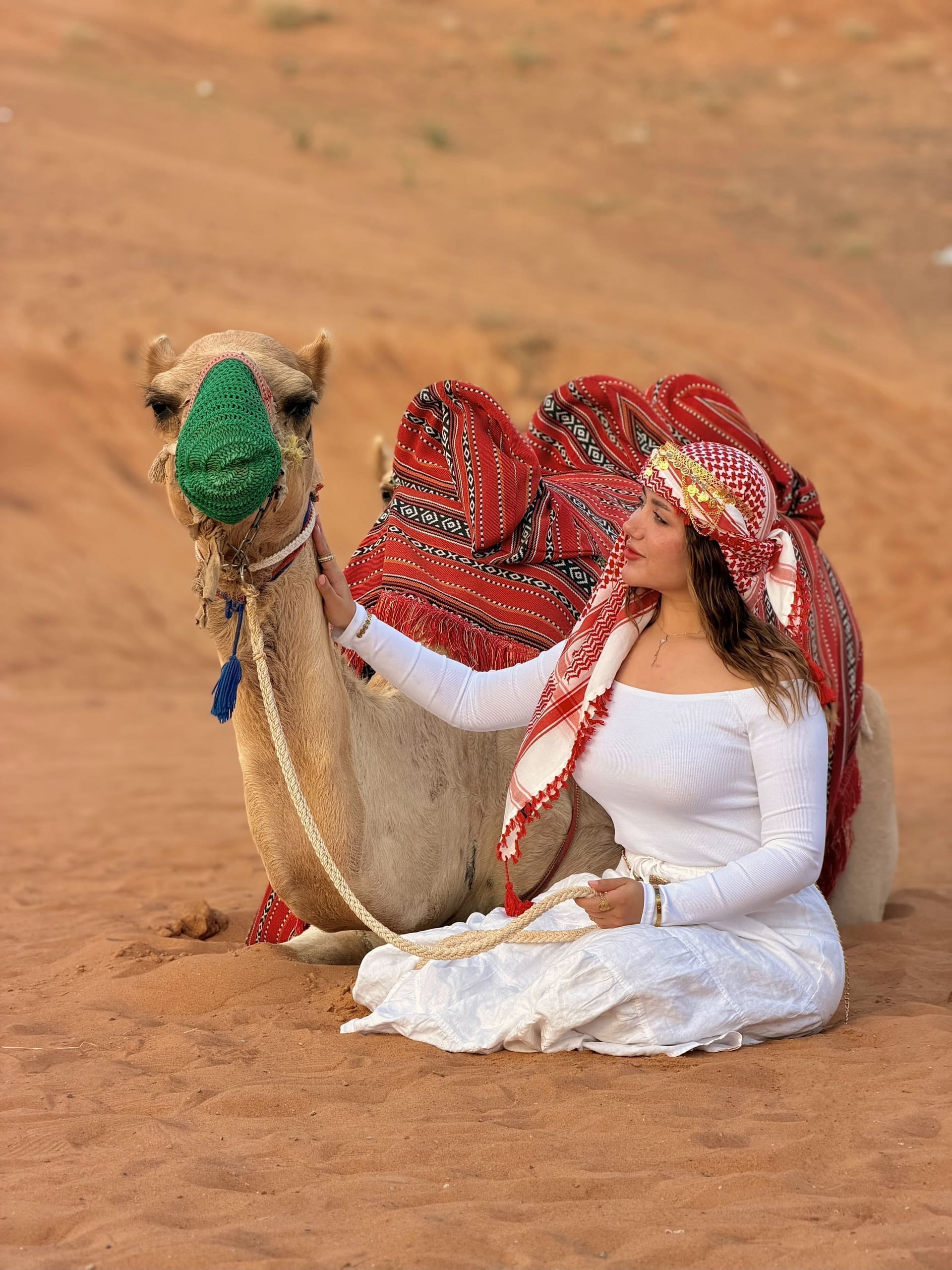 Woman in white sitting beside a decorated resting camel on warm red sand