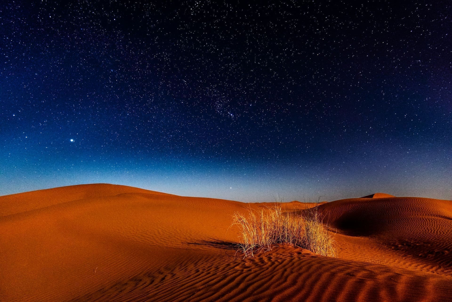 Starlit night sky over a Bedouin tent camp on the Lahbab fringe