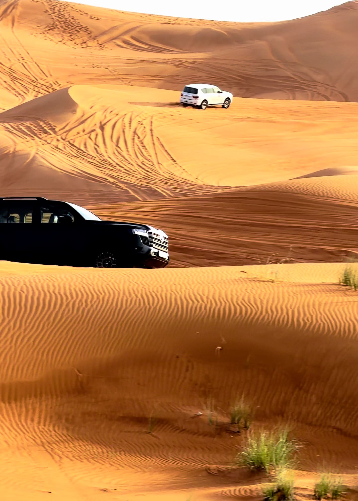 A black and a white 4x4 on separate ridges of rippled orange dunes